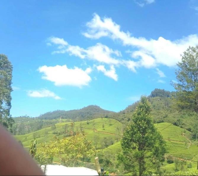 Nuwaraeliya Penthouse Apartment With Pool & Panaromic Views ヌワラ・エリヤ エクステリア 写真